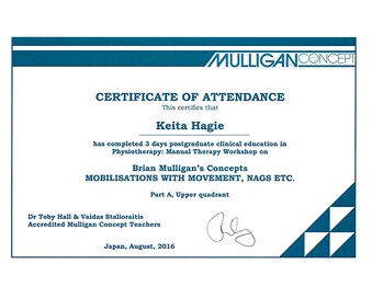 スタイルフリー/