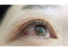 プルームミコ(Plume mico)/シングルラッシュ100本＋1色