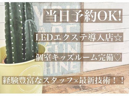 アイラッシュ サロン ニコア(NICOA)の写真
