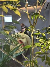 バルム(Balm)/アイラッシュroom