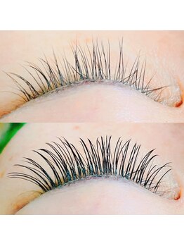 ソルアイラッシュサロン(SOL EYELASH SALON)/フラットラッシュ140本 7500円