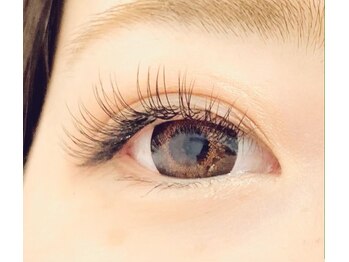 アイラッシュ ラビット(Eyelash Rabbit)/＊Flat lash＊