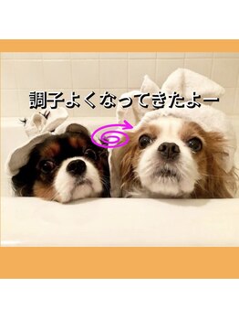 リボーン(Reboorn)/調子よくなろう！