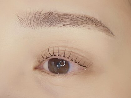 カリノ(carino)の写真
