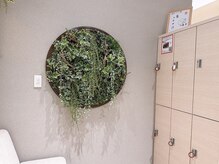 銀座リラコラ 大名古屋ビルヂング店 /店内