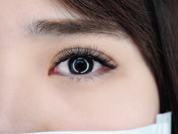 マイレリーフ(Maile leaf)/