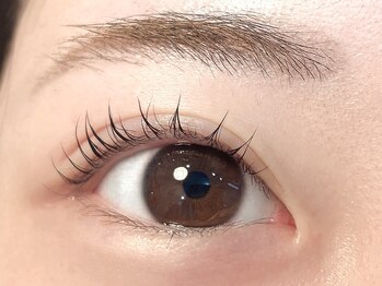 ネリネ(Nerine)/パリジェンヌラッシュリフト