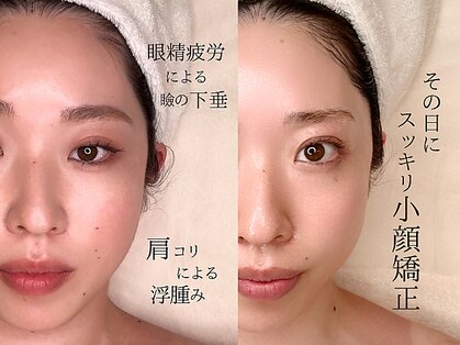 ホワイトカメリア(White Camellia)の写真