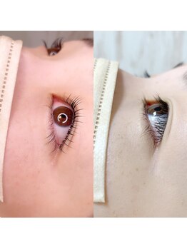 ヴィフ(Vif)/パリジェンヌラッシュリフト