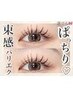 誰でも理想の韓ドル束感まつ毛★30％off★束感パリエク100本