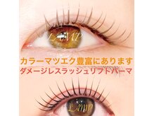 ランプ(LAMP)の雰囲気（パーマもマツエクも1ヶ月以上持続する技術力☆ パリエクあり）