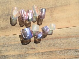 9月select(K)7,980円/全10種