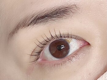 エクリュ アイラッシュ(ecru eyelash)/次世代まつげパーマ/L3リフト