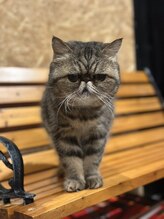 サロン ド アンティーク(Salon de Antique*)/ちくわ