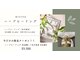 ラフィーヌ(Lafine)の写真