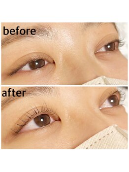 タリプラス(TALI+)/まつげパーマ