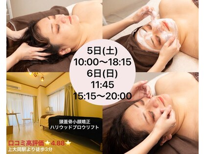パピヨン(papillon)の写真