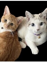 ラクーラビューティー(Lacu-ra Beauty) 悟飯 & パン