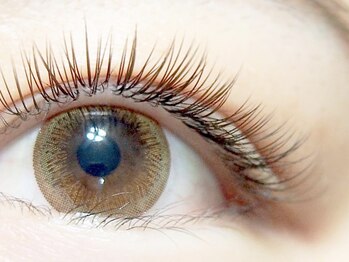 アイネイル(eyenail)/軽量柔らかフラットラッシュ