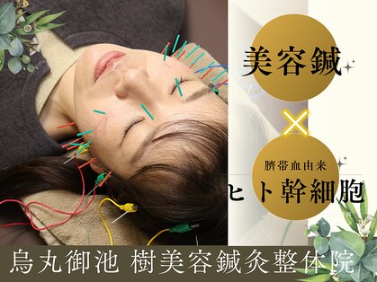 樹美容鍼灸整体院 烏丸御池の写真