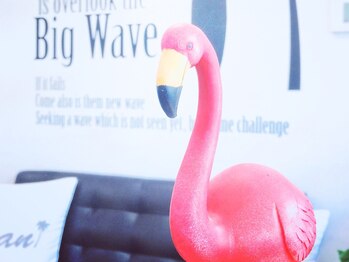 関谷カイロプラクティック整体院/フラミンゴ