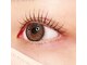 アイラッシュ ナイン(eyelash 9nine)の写真