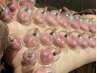 【背中/肩/首コリ】強力肩首背中リンパ×血流カッピング60分14000円→5500円