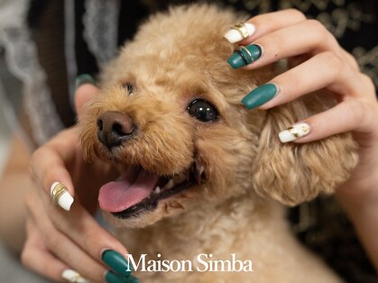 メゾンシンバ(Maison Simba)の写真
