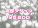 定額デザイン￥5,900