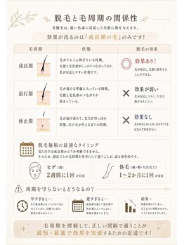 リノア(Linoa)/脱毛周期について2