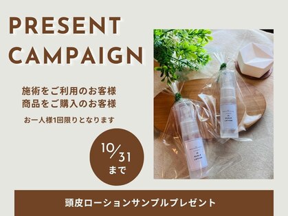 スーパースカルプ 熊本宇城店(SuperScalp)の写真