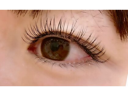 シャンティー ヒラギシ(Shanti hiragishi)の写真