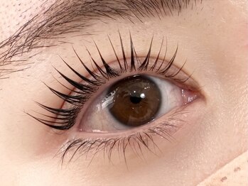 アンジェリカ アイビューティー 錦糸町店/根本から立ち上げ