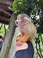 ネイルサロン クレオ(Cleo)&nbsp;沖縄で触れ合ったリスザルです！めっちゃ可愛い(*^^*)