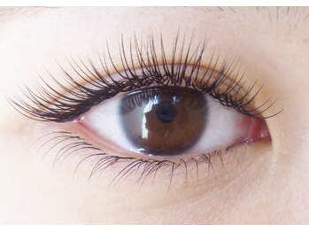 テイラー(Taylor)/上下無制限付け放題 SONE