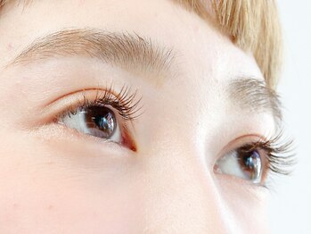 フリップ ビー アヴェダ(FLIP B AVEDA)/セーブル120本 6600円