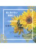 【自律神経を整える★】全身オイルトリートメント＋ヘッドスパ＋リフレ140分