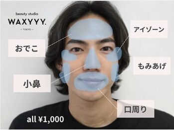 ハリウッドブロウリフト ワクシー 青山店(HOLLYWOOD BROW LIFT WAXYYY.)/オプション/Sパーツワックス脱毛
