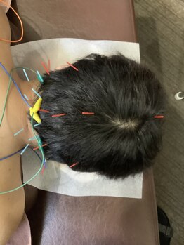 矢口鍼灸接骨院/