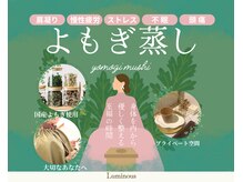 ルミナス(Luminous)の雰囲気（オーガニックよもぎに黄土座浴器を使った安心のよもぎ蒸し）