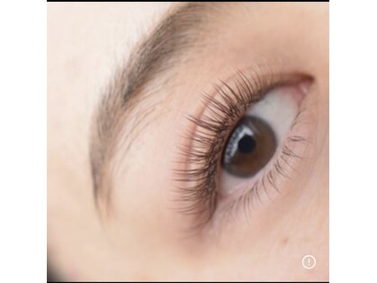 エレ(ele)の写真