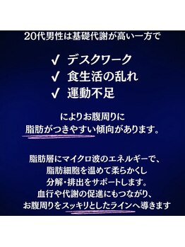 ラフィール/マイクロ派 (20分)かけ放題