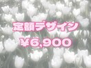 定額デザイン￥6,900
