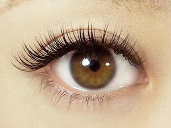 ラッシュワン 四条店(Lash One)/■まつ毛エクステ