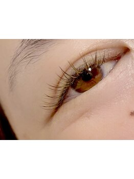 初めての方にオススメ