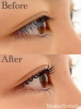 モアナ 逗子 葉山(MOANA)/上下ラッシュリフト