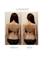 リルシープ(LIL'SHEEP)/ブライダルコルギ