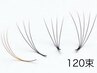 【LED×ボリューム3D】時短施術×均一な仕上がり高持続/120束《通常11400円》