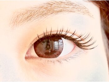アイラッシュ ラビット(Eyelash Rabbit)/＊Flat lash＊