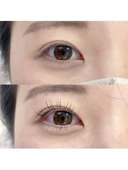 フランセス(Frances)/ラッシュリフト